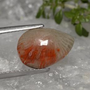 Corallo naturale multicolore da 3,19 ct, taglio a pera, traslucido