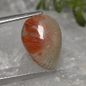 Corallo naturale multicolore da 3,19 ct, taglio a pera, traslucido