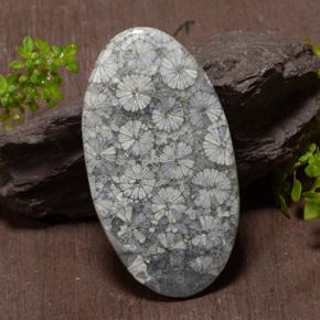 Corallo naturale multicolore da 43,97 ct, taglio ovale, opaco
