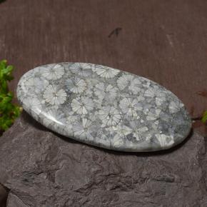 Corallo naturale multicolore da 43,97 ct, taglio ovale, opaco