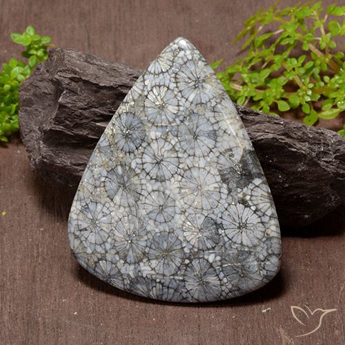 Corallo naturale multicolore da 72,53 ct, taglio a pera, opaco