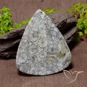 Corallo naturale multicolore da 72,53 ct, taglio a pera, opaco