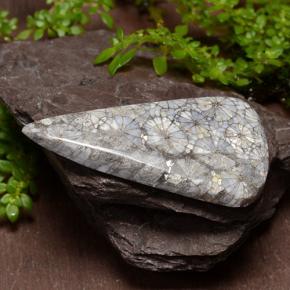 Corallo naturale multicolore da 29,10 ct, trillion, opaco
