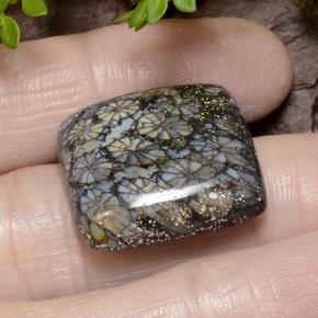 Corallo Multicolore naturale da 23.19 ct, Taglio a cuscino, Opaco