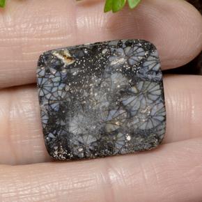 Corallo Multicolore naturale da 23.19 ct, Taglio a cuscino, Opaco