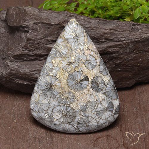 47.39ct Naturale Multicolore Corallo, Forma a pera, Opaco, Photo A