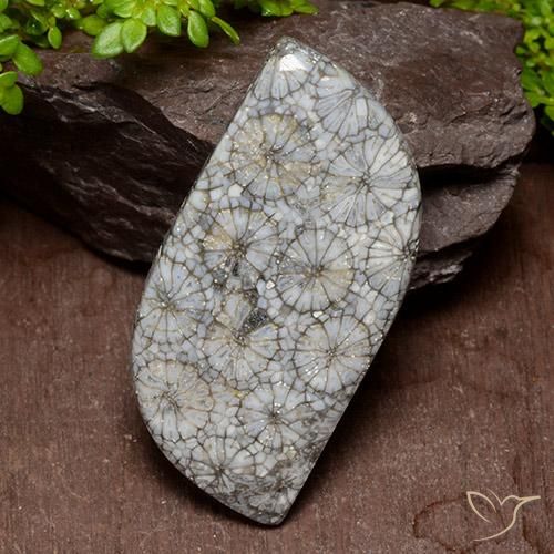 40.47ct Naturale Multicolore Corallo, Taglio a fantasia, Opaco