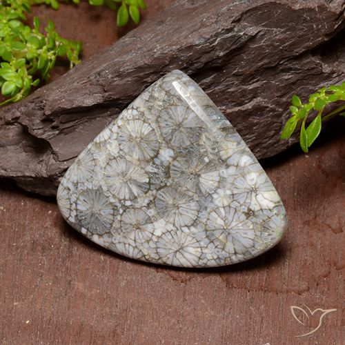 39.63ct Naturale Multicolore Corallo, Forma a pera, Opaco