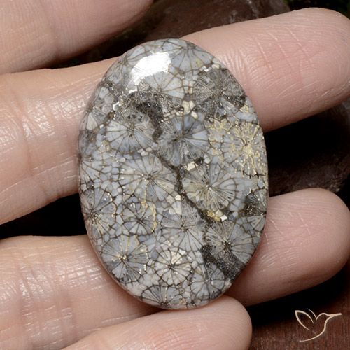49.51ct Naturale Multicolore Corallo, Ovale, Opaco
