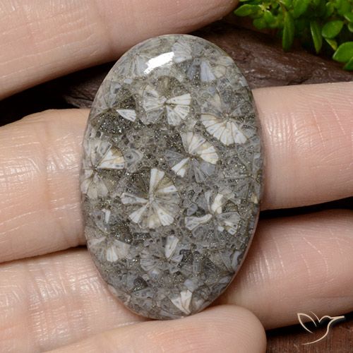 42.02ct Naturale Multicolore Corallo, Ovale, Opaco