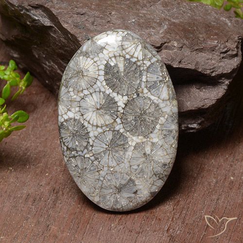 38.17ct Naturale Multicolore Corallo, Ovale, Opaco