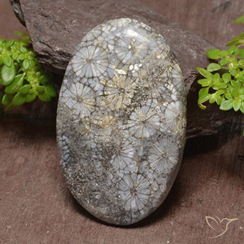 46.22ct Naturale Multicolore Corallo, Ovale, Opaco