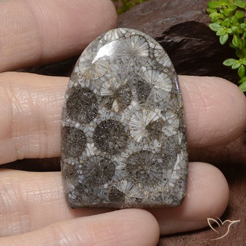 45.79ct Naturale Multicolore Corallo, Taglio a fantasia, Opaco, Photo A
