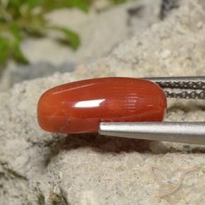 Corallo Rosso arancione naturale da 2.09 ct, Ovale, Opaco
