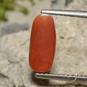 Corallo Rosso arancione naturale da 2.09 ct, Ovale, Opaco
