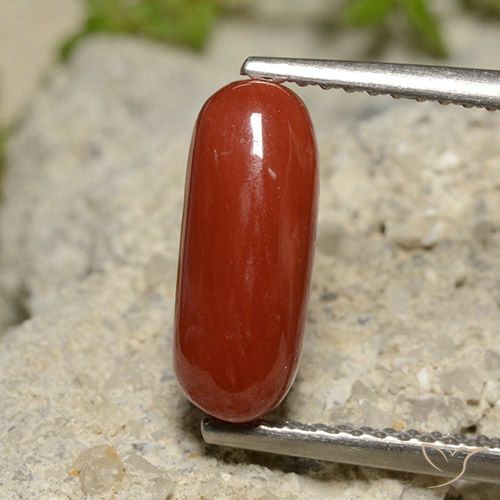 2.14ct Naturale Rosso arancione Corallo, Ovale, Opaco
