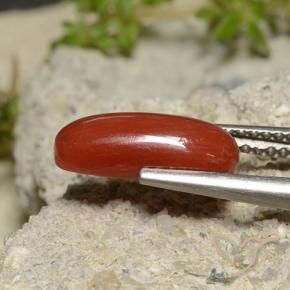 Corallo Rosso arancione naturale da 2.14 ct, Ovale, Opaco