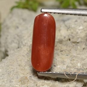 Corallo Rosso arancione naturale da 2.14 ct, Ovale, Opaco