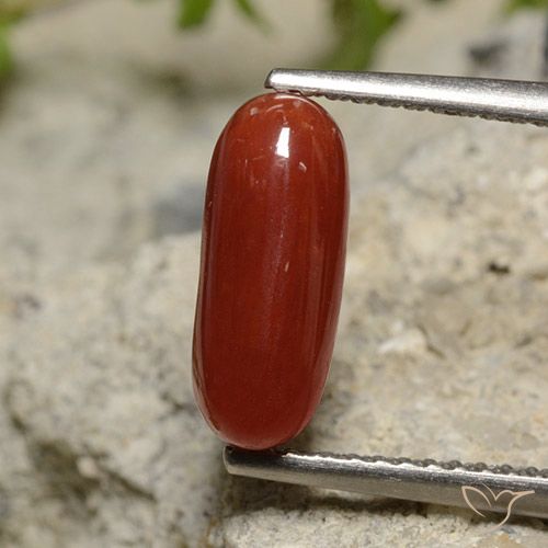 1.89ct Naturale Rossetto Rossetto Corallo, Ovale, Opaco