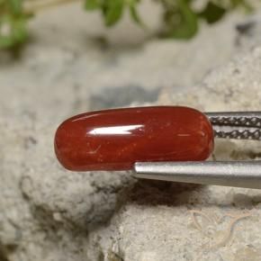 Corallo Rossetto Rossetto naturale da 1.89 ct, Ovale, Opaco