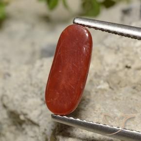 Corallo Rossetto Rossetto naturale da 1.89 ct, Ovale, Opaco