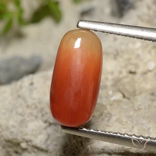2.12ct Naturale Arancio Medio Corallo, Ovale, Opaco