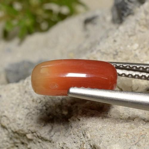 Corallo Arancio Medio naturale da 2.12 ct, Ovale, Opaco