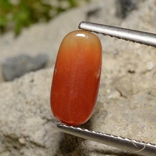 Corallo Arancio Medio naturale da 2.12 ct, Ovale, Opaco