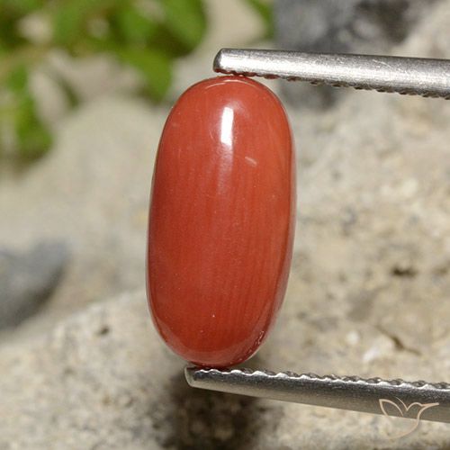 Corallo Arancia Fuoco naturale da 1.73 ct, Taglio ovale, Opaco