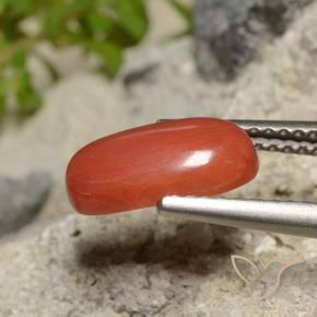 Corallo Arancia Fuoco naturale da 1.73 ct, Taglio ovale, Opaco