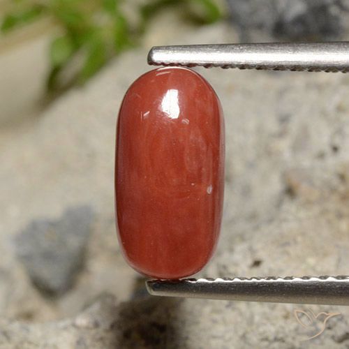 2.04ct Naturale Rosso arancione Corallo, Ovale, Opaco