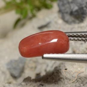 Corallo Rosso arancione naturale da 2.04 ct, Ovale, Opaco