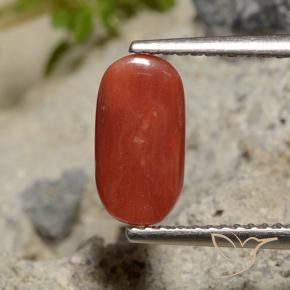 Corallo Rosso arancione naturale da 2.04 ct, Ovale, Opaco