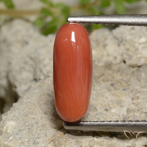 2.00ct Naturale Arancia Fuoco Corallo, Ovale, Opaco