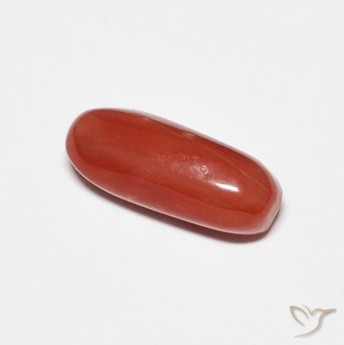 Corallo Rosso medio naturale da 2.01 ct, Ovale, Opaco