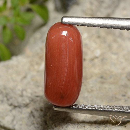 2.14ct Naturale Rosso arancione Corallo, Ovale, Opaco, Photo A