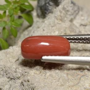 Corallo Rosso arancione naturale da 2.14 ct, Ovale, Opaco