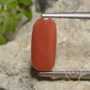 Corallo Rosso arancione naturale da 2.14 ct, Ovale, Opaco