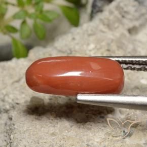 Corallo Rosso arancione naturale da 2.39 ct, Ovale, Opaco