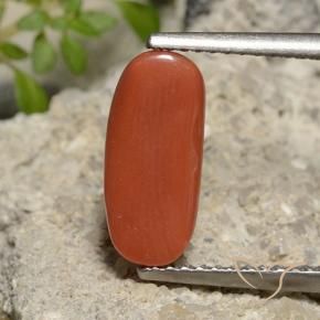 Corallo Rosso arancione naturale da 2.39 ct, Ovale, Opaco