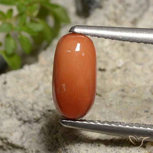 1.81ct Naturale Arancio Medio Corallo, Ovale, Opaco
