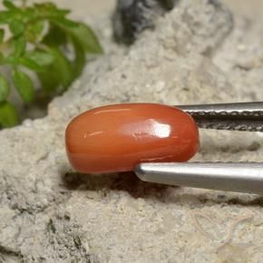 Corallo Arancio Medio naturale da 1.81 ct, Ovale, Opaco