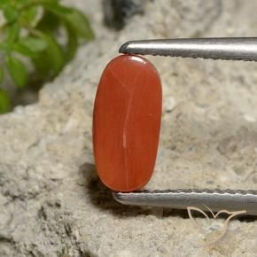 Corallo Arancio Medio naturale da 1.81 ct, Ovale, Opaco