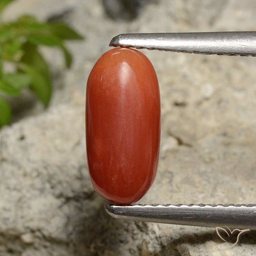 1.85ct Naturale Arancio Medio Corallo, Ovale, Opaco