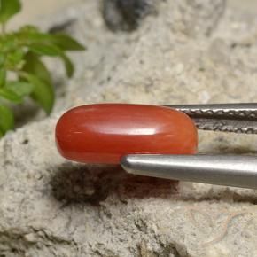 Corallo Arancio Medio naturale da 1.85 ct, Ovale, Opaco