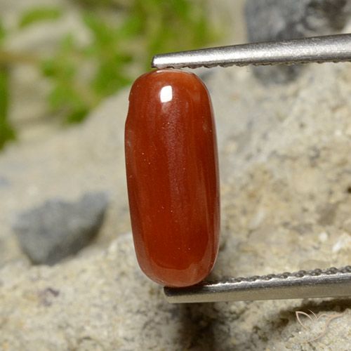 1.81ct Naturale Rosso fuoco Corallo, Ovale, Opaco