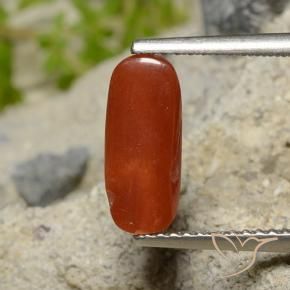 Corallo Rosso fuoco naturale da 1.81 ct, Ovale, Opaco