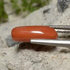 Corallo Rosso medio naturale da 1.91 ct, Ovale, Opaco