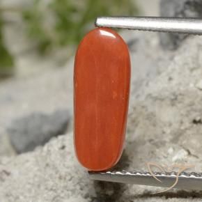 Corallo Rosso medio naturale da 1.91 ct, Ovale, Opaco