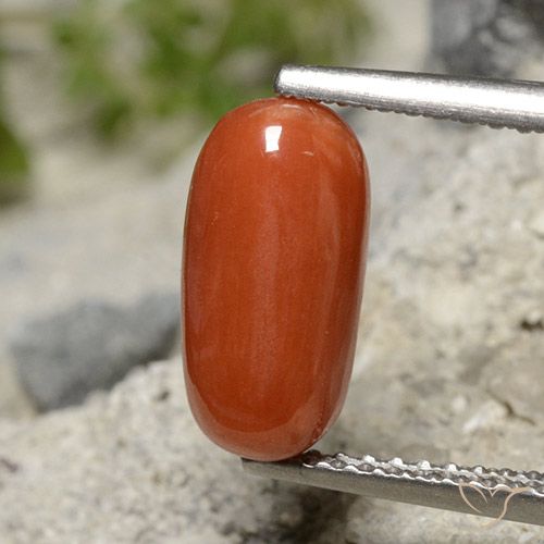 2.01ct Naturale Rosso arancione Corallo, Ovale, Opaco